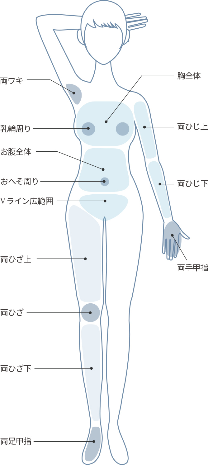 正面の脱毛部位のイラスト
