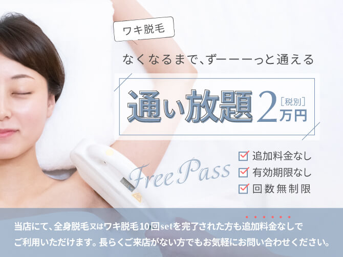 新メニューのご案内